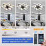 Silent LED Ceiling Fan - KY DUIBHNE