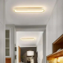 Plafonnier LED Moderne Métal Acrylique - Éclairage Élégant