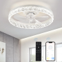 Ventilateur de Plafond LED Télécommandé - Style Contemporain